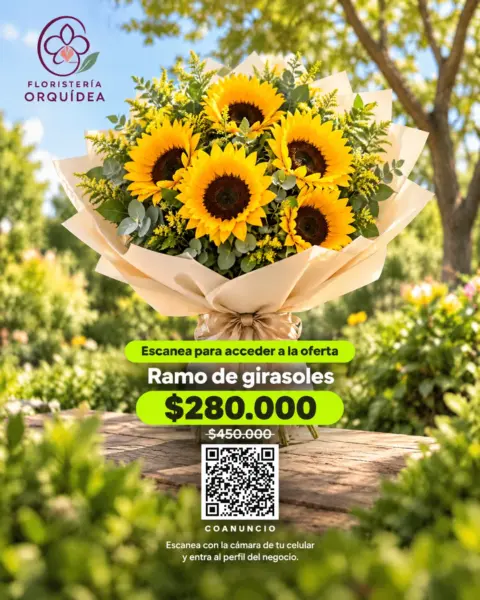 Girasoles
