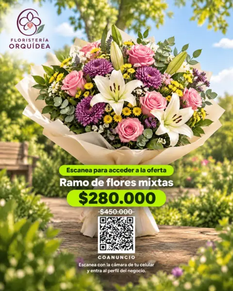 Ramo mixto